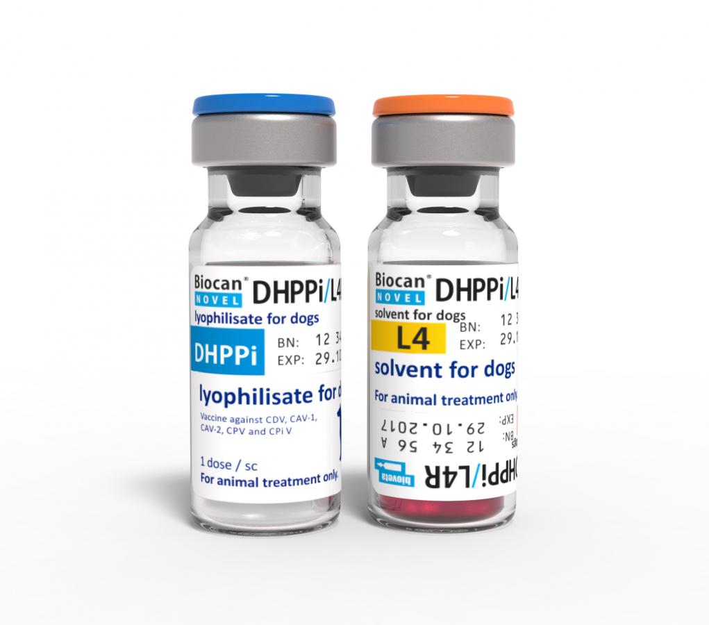 Biocan Novel DHPPi/L4R liofilizat i rozpuszczalnik do sporządzania zawiesiny do wstrzykiwań dla psów
