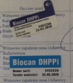 ! UWAGA, PODRABIANE NAKLEJKI BIOCAN !