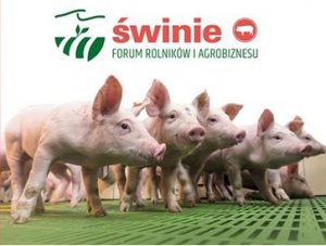 FORUM ROLNIKÓW I AGROBIZNESU – ŚWINIE