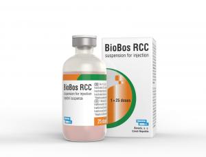 BioBos RCC zawiesina do wstrzykiwań