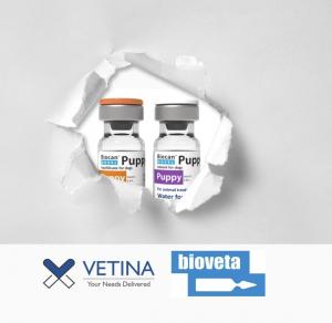 Seria szczepionek dla psów Biocan NOVEL wchodzi na rynek indyjski