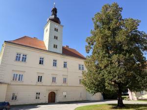 Bioveta przebuduje zrujnowany zamek na centrum wielokulturowe 